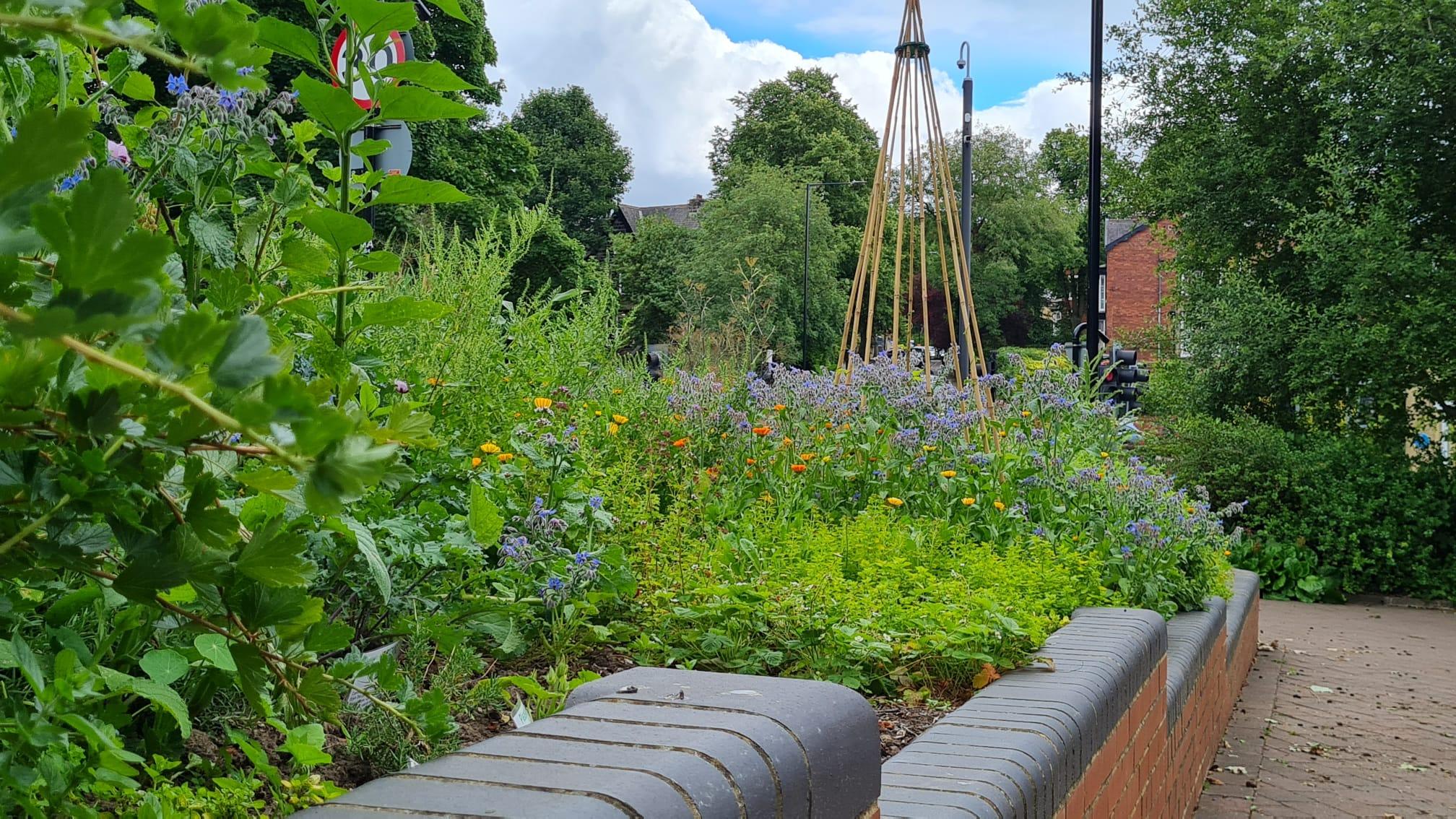 Edible bed