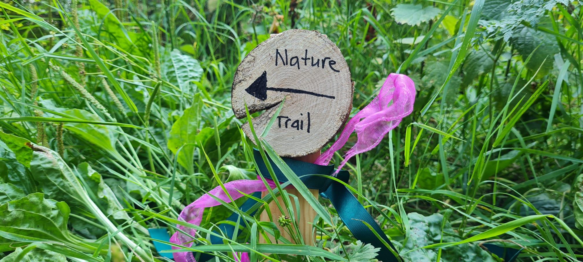 nature trail
