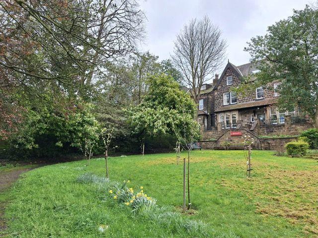 Oakwood Library Orchard